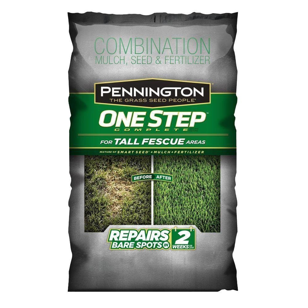 Pennington One Step Complete, Tall Fescue Grass Seed, Patch and Repair