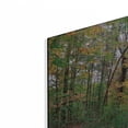 thumbnail image 2 of Luxe Metal Art ' Autumn at Hopkins Pond' by John Rivera, Metal Wall Art, 36"x24", 2 of 9