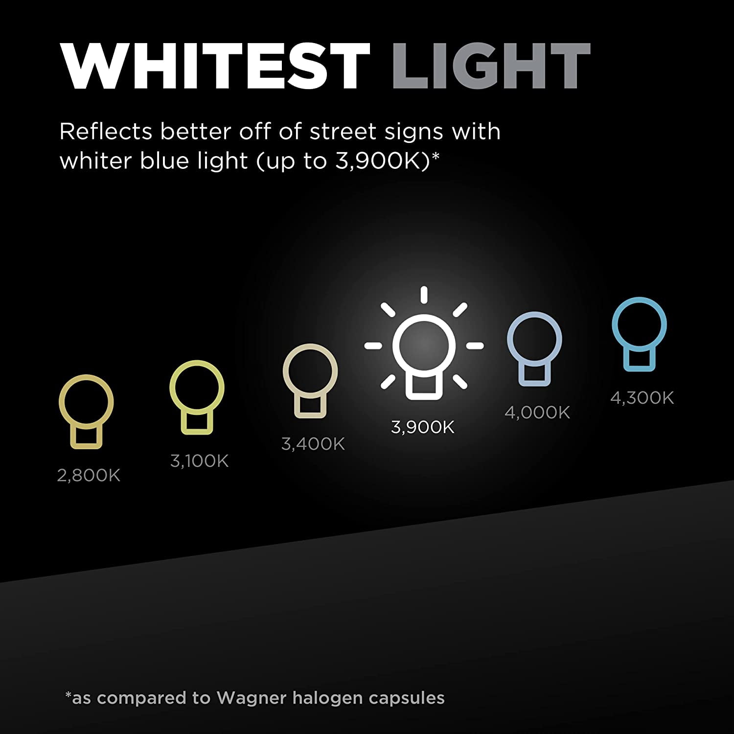 Headlight Bulb
