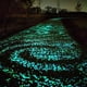 thumbnail image 3 of 50 Piedras Brillantes para Decorar Acuarios con Forma de Trozos de Hielo | Rocas de Paisaje con Luz Nocturna para Peceras | Resina Segura para Acuarios de Agua Dulce y Salada, 3 of 3