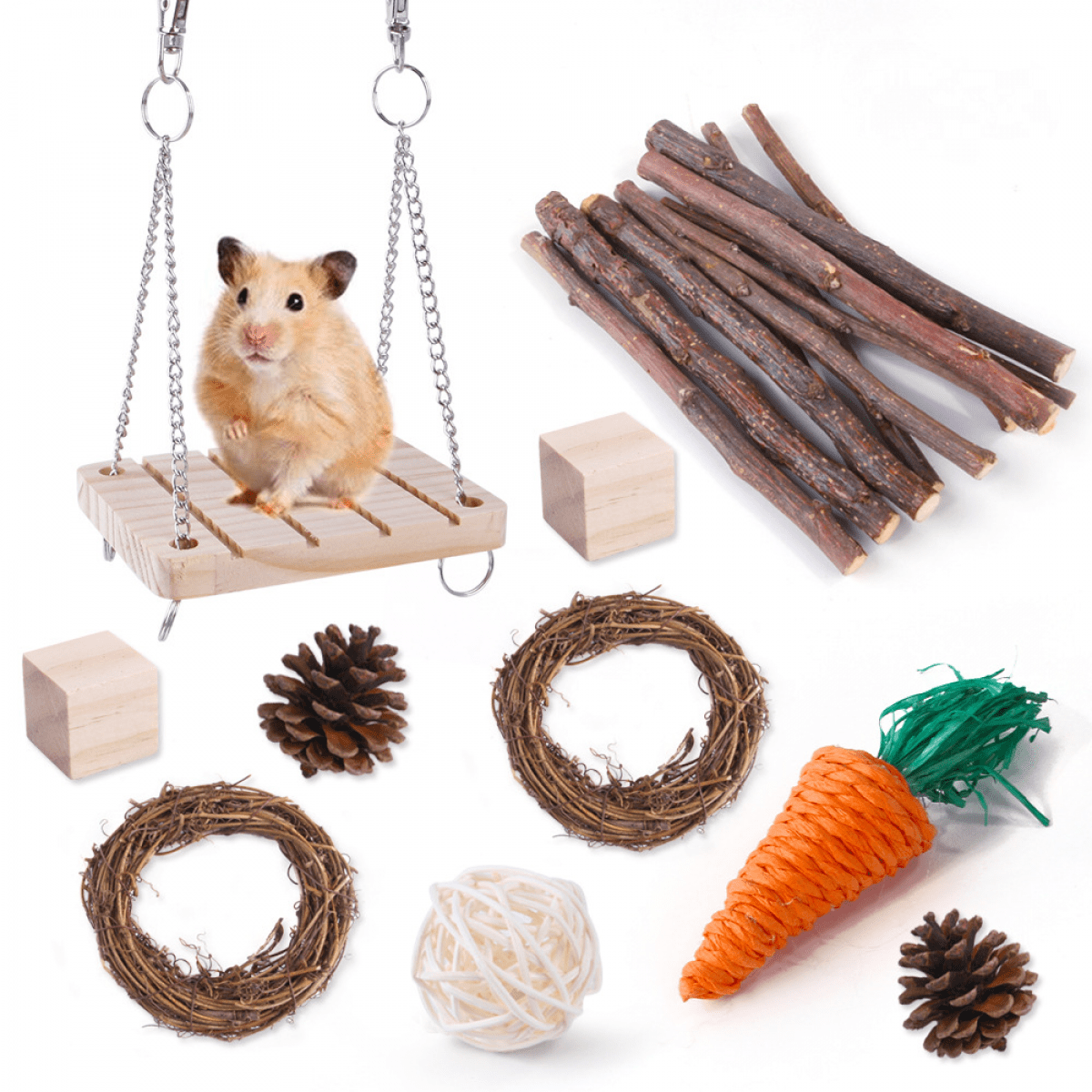 10PCS Hamster Guinea Pig Chew Toys Set Natural Wooden mouse Exercise Toys and Accessories Teeth Care Molar Toys