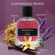 thumbnail image 2 of Perfume NovoGlow Valencia UOMO Intense Eau De Parfum 100 ml, 2 of 8