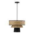 thumbnail image 1 of TOV Furniture Rylie 12.6"H Iron Metal & Raffia Pendant in Natural/Black, 1 of 7