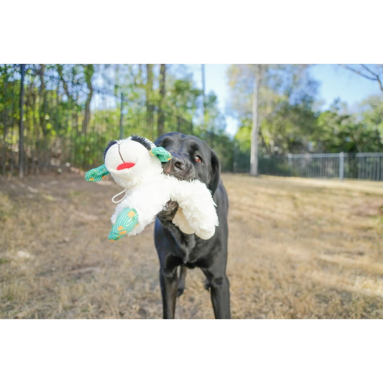 Multipet Summer Lamb Chop, Plush Dog Toy, Pineapple Pattern, 10.5