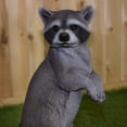 thumbnail image 2 of Hi-Line Gift Ltd. Standing Raccoon Statue, 2 of 6