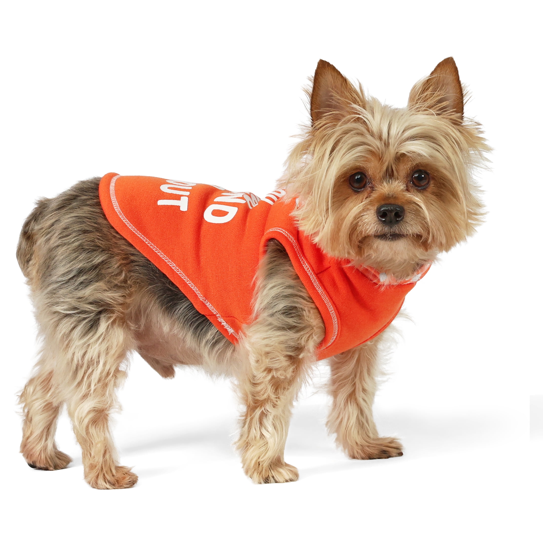 Vibrant Life Spring Pet Hoodie for Cats & Dogs, Fluff Around and Find Out, Orange, XS
