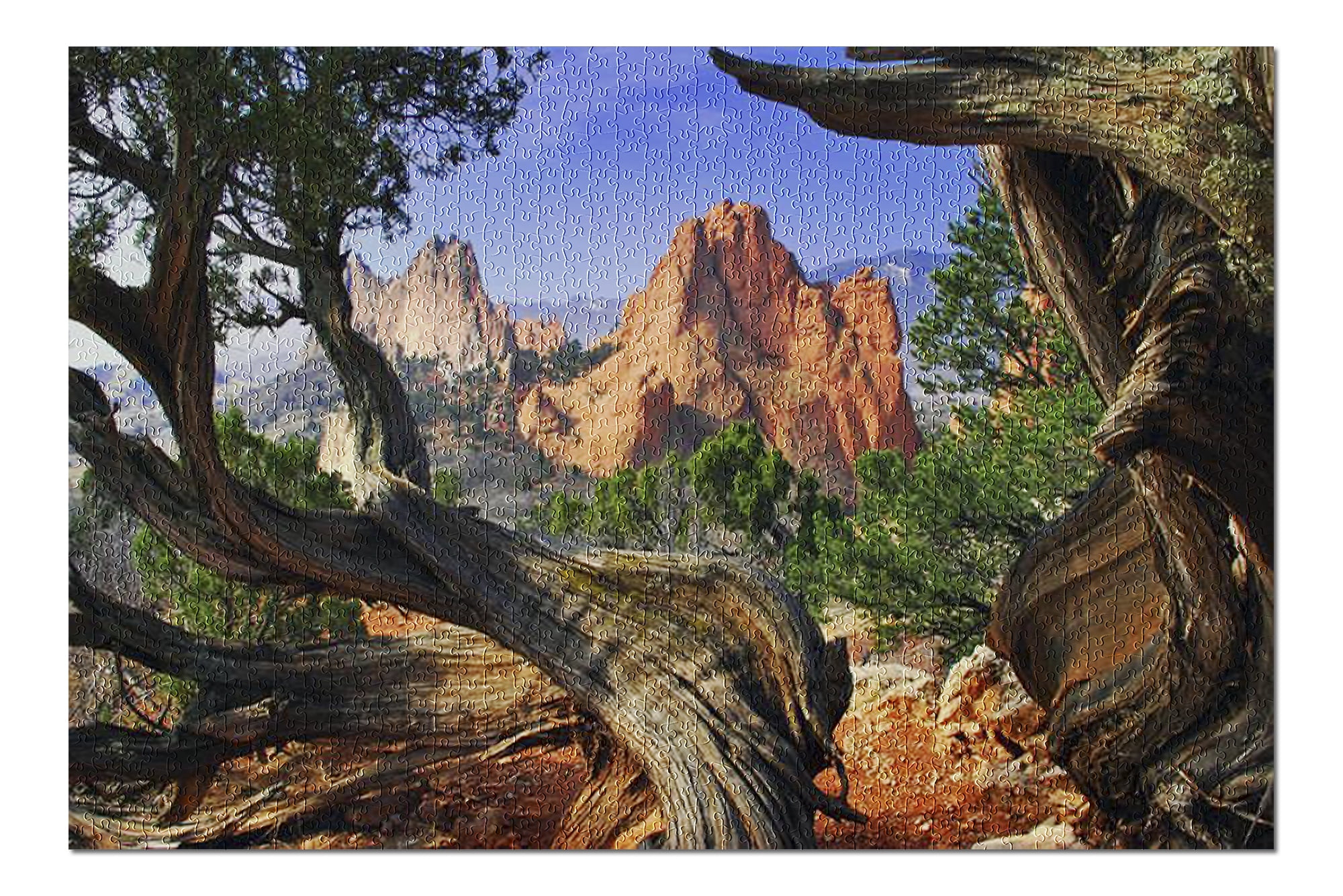 Colorado Springs Rocks Framed by Twisted Juniper Trees at the Garden