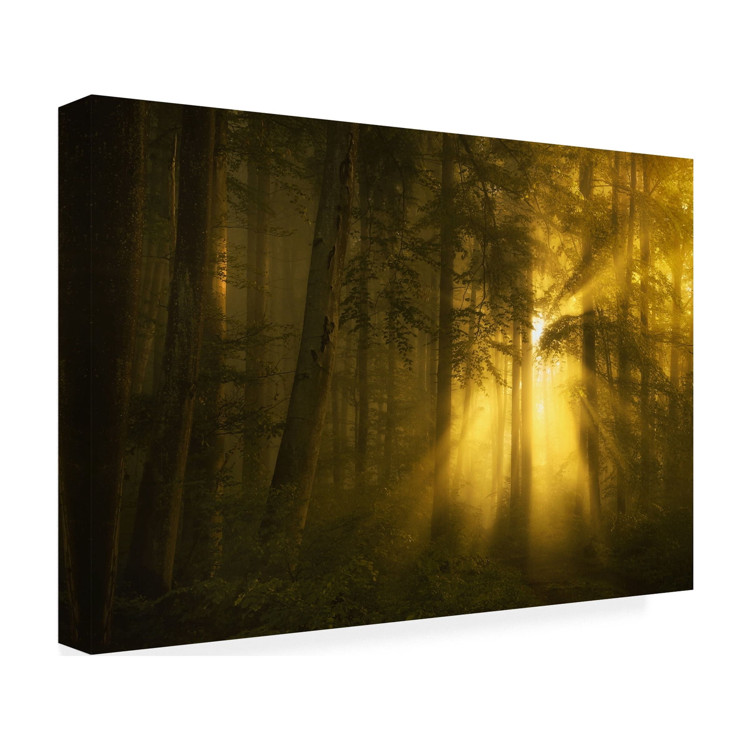 Norbert Maier 'Yellow' Canvas Art