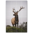 thumbnail image 1 of Picture-Tiles.com: Deer Ceramic Tile Wall Mural WAL500472-46L. 32"W x 48"H using (24) 8" x 8" Ceramic Tiles-Satin Finish, 1 of 3