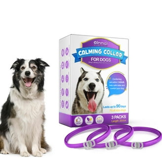 ThunderEase Dog Calming Pheromone Diffuser Kit Vet Recommended - Main Image