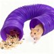 thumbnail image 4 of CRILSTYLEO 2Ud Plegables De Plástico Para Hamsters Y Gerbils Túneles De Ejercicio Creativos, 4 of 6