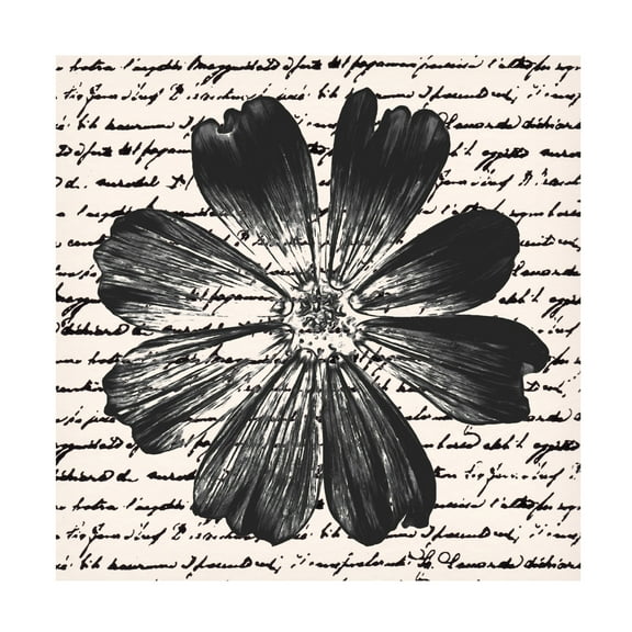 Trademark Fine Art Alonzo Saunders Inky Floral IV Canvas Wall Art