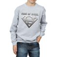 thumbnail image 3 of DC Comics Garçon Superman Homme de Bouclier en Acier Chandail en Molleton, 3 of 5