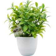 OFFIDIX Mini Plastic Artificial Eucalyptus Leaves Topiary Plant with Pots,Faux Plant Small Plants for Home,Office and Bathroom Decoration