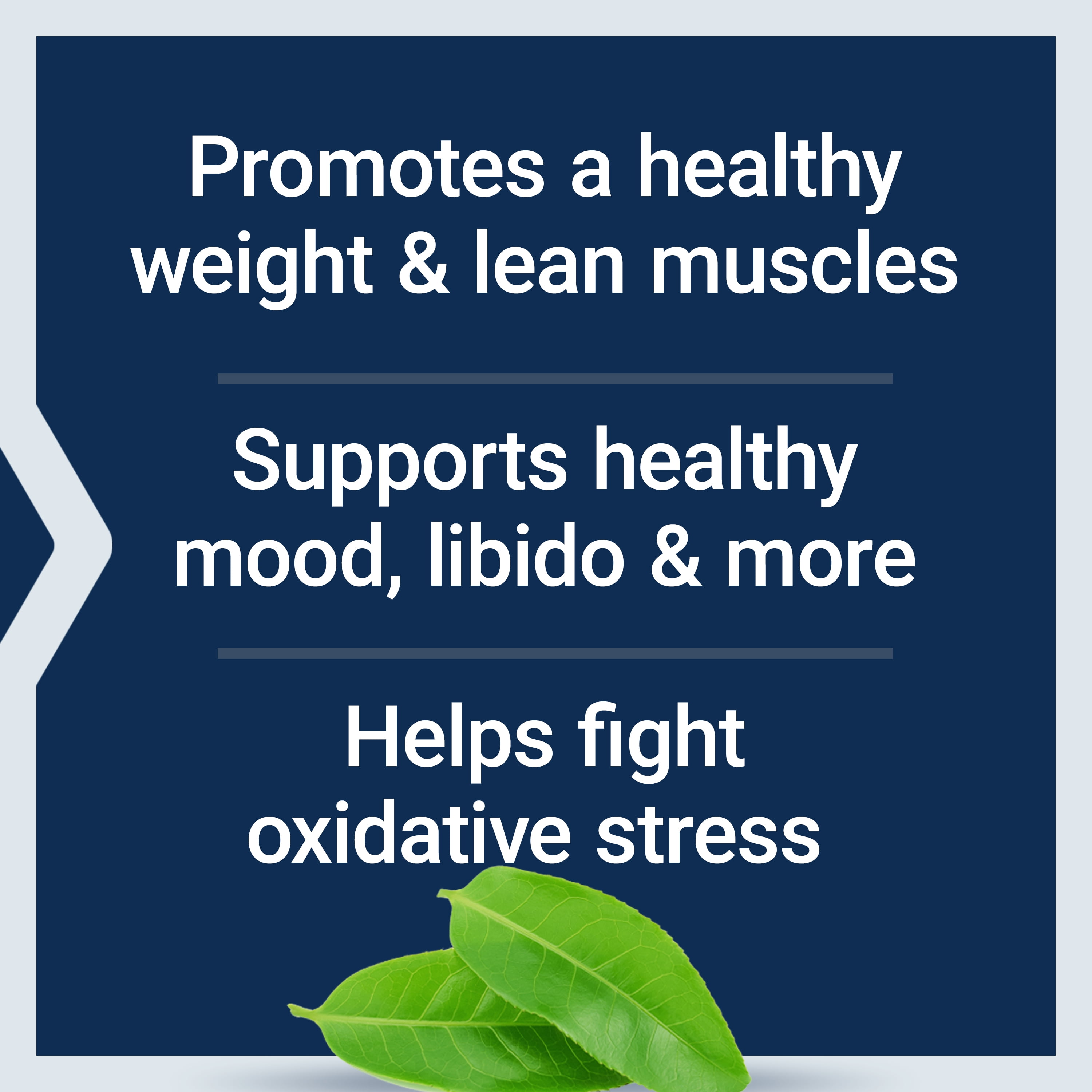 Life Extension DHEA Complete, with 7-Keto® DHEA, promotes optimal hormone levels & weight management, gluten free, non-GMO, vegetarian, 60 capsules