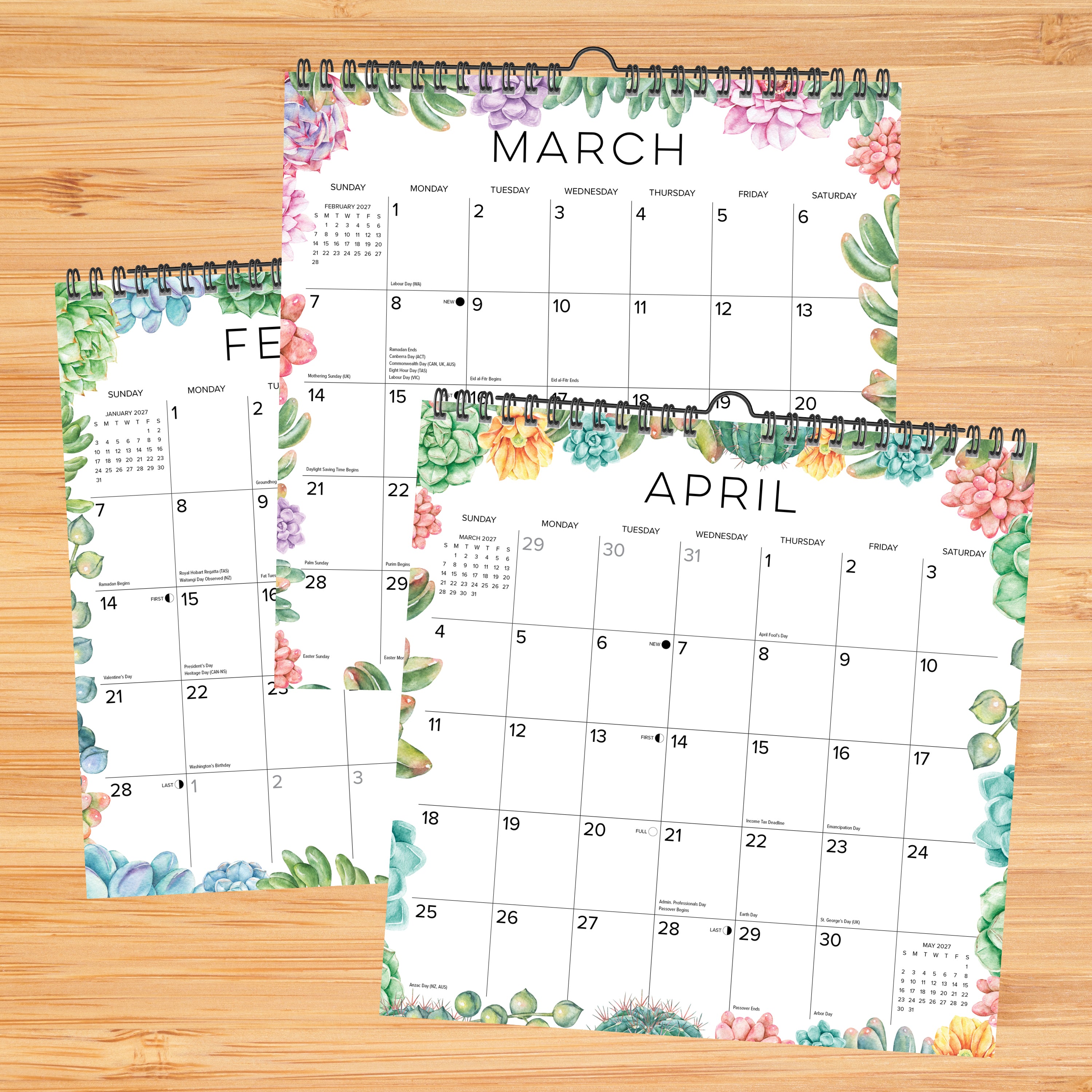 Willow Creek Press Succulents 2027 12" x 12" Spiral Wall Calendar (65617)