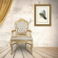 thumbnail image 3 of Gould, John 23x32 Gold Ornate Wood Framed with Double Matting Museum Art Print Titled - Gould Tropical Birds V, 3 of 4