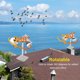 thumbnail image 5 of Espantapájaros Reflectante, Aplicaciones Amplias De Acero Al Carbono, Dispositivo Reflectante De Pájaros Eficaz Giratorio De 360 ​​​​grados, Seguro Para Palomas, 5 of 7