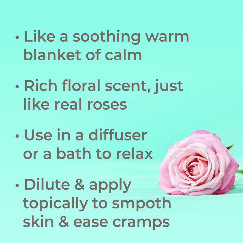 Plant Therapy Rose Absolute Essential Oil 100% Pure, Undiluted, Natural Aromatherapy 30 mL