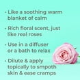 thumbnail image 2 of Plant Therapy Rose Absolute Essential Oil 100% Pure, Undiluted, Natural Aromatherapy 30 mL, 2 of 7