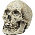 thumbnail image 4 of Adorno Calavera Humana Realista Decoración Terror Halloween, 4 of 5