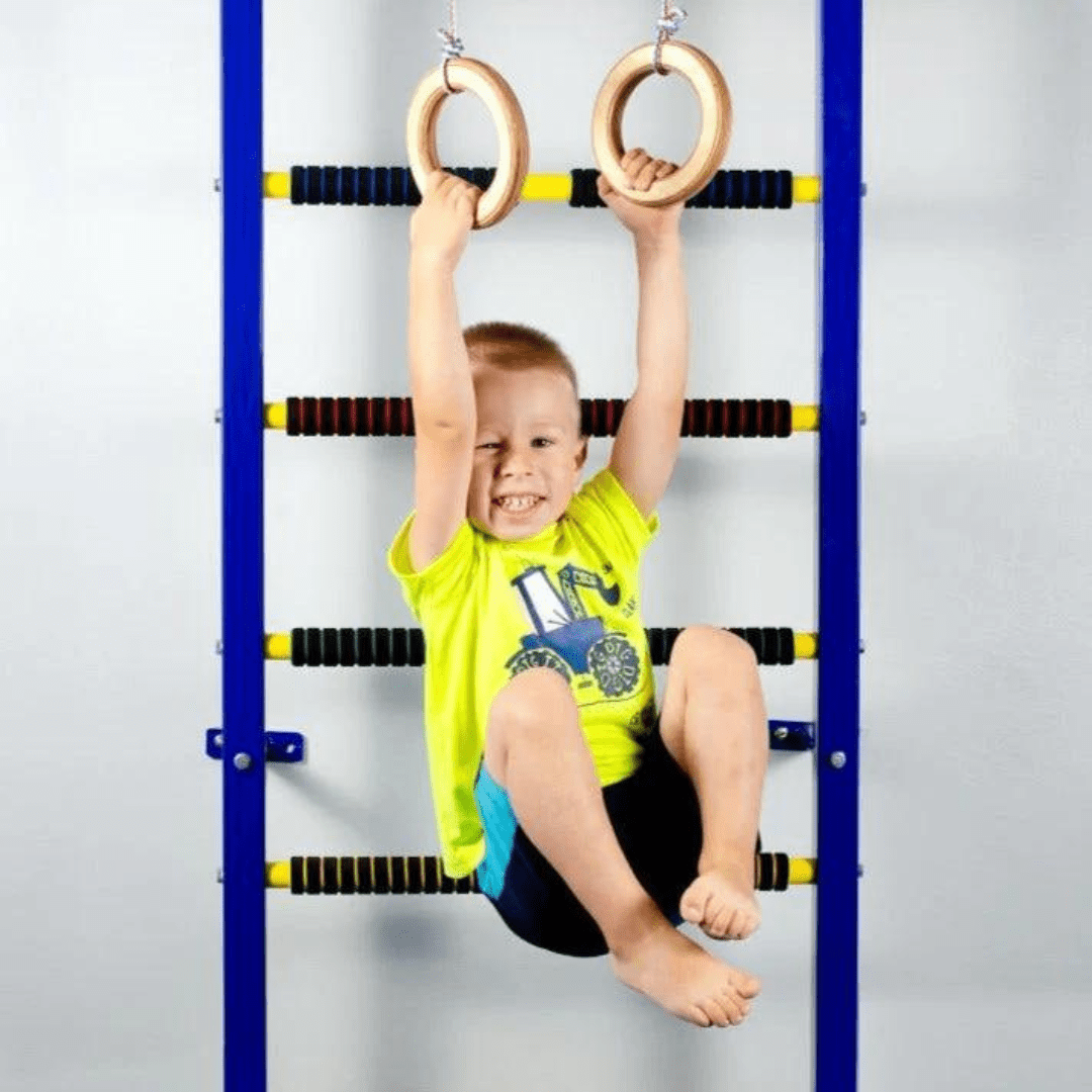 Gymnastic Rings Hanging In Gym