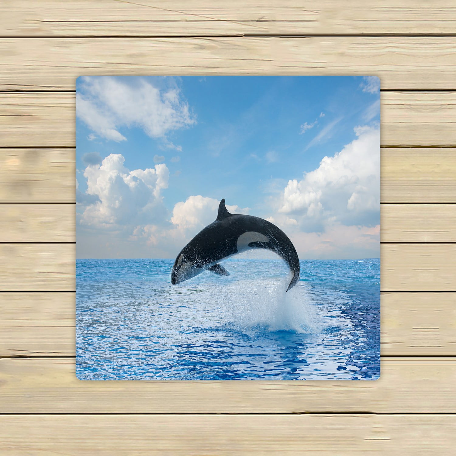 Ocean Selfie Dolphin Killer Whale Turtle Pool Bath Beach Souvenir Cotton Towel 