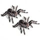 thumbnail image 3 of 6 Piezas 9,5 cm Gran Falso Juguete Modelo de Insecto Araña Realista Divertido Accesorio Aterrador de Halloween, 3 of 5