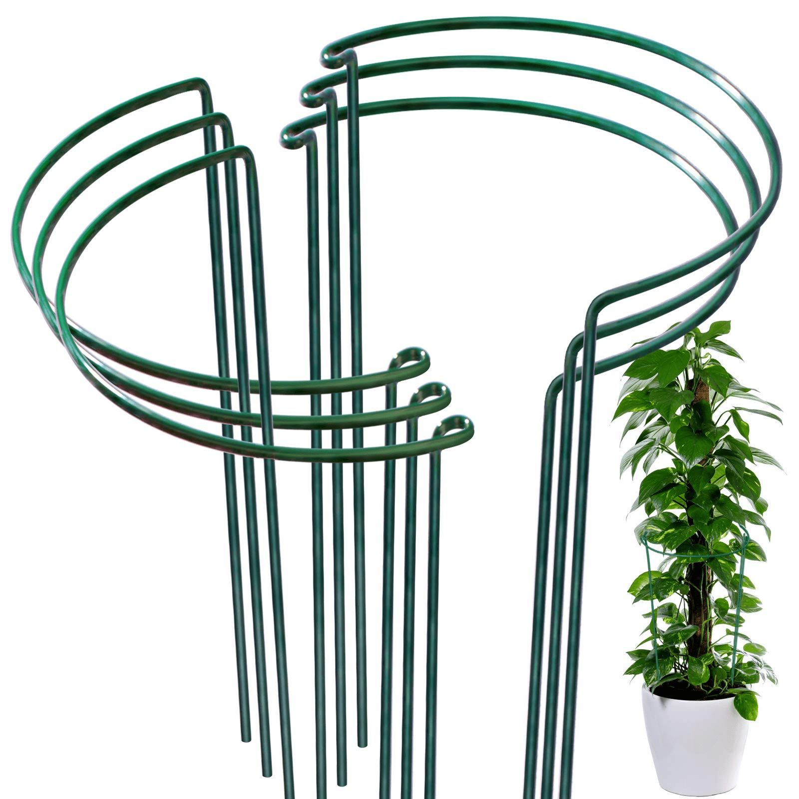 8x Plant Support Stake Metal Garden Plant Stake Green Half Round Support Ring 