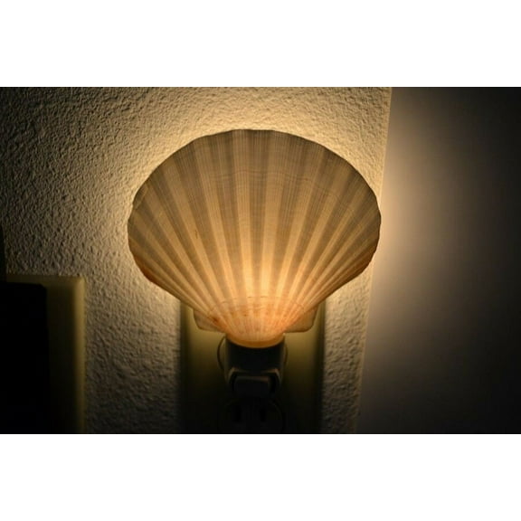 Deep White Irish Scallop Seashell Nightlight