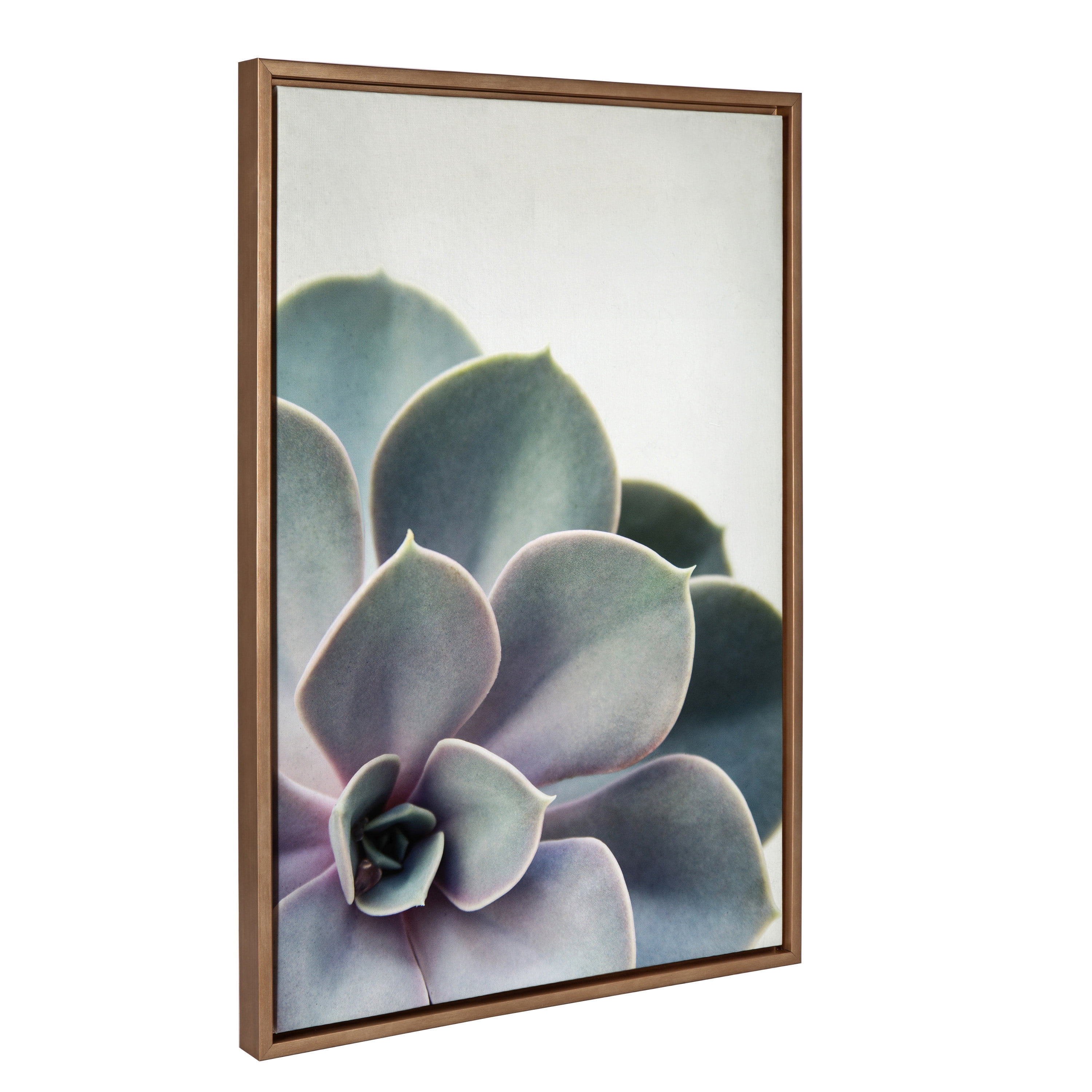 Kate and Laurel Sylvie Succulent Framed Canvas Wall Art by F2 Images, 23x33 Gold