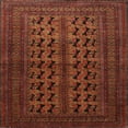 thumbnail image 1 of Ahgly Company Indoor Square Traditional Mahogany Brown Persian Area Rugs, 5' Square, 1 of 6