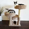 New Cat Condos Double Perch Cat Condo