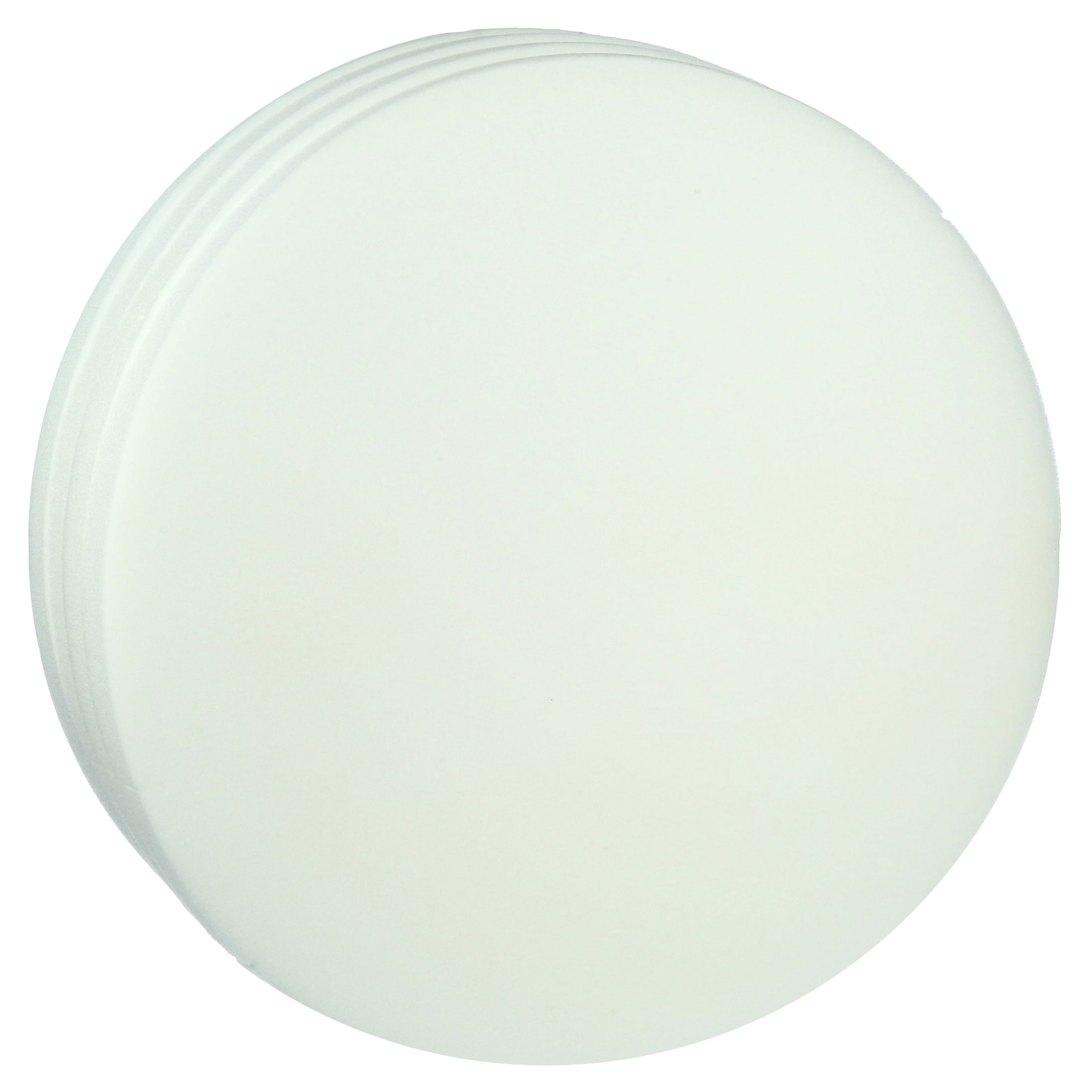 Morning Glory 16-in Round Foam Craft Cushion, Set of 4 White