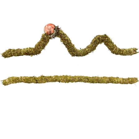 Hermit Crab Habitat Tank Terrarium Accessories - 25 Inch Climbing Toys