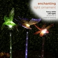 thumbnail image 6 of Alpine Corporation 33" Tall Butterfly, Hummingbird, Dragonfly Solar Fiber Optic LED Pathway Light Garden Stakes (Set of 3), 6 of 16