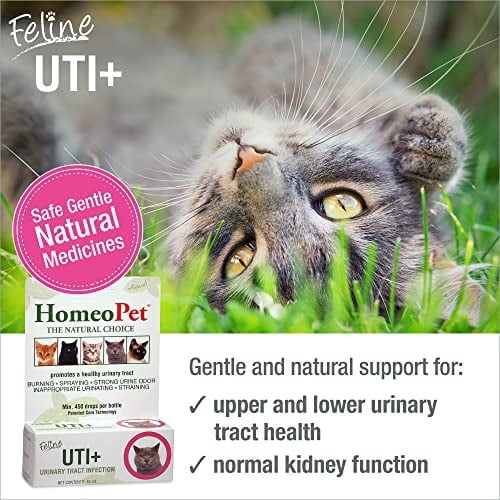 cat uti medicine walmart