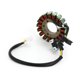 thumbnail image 3 of Estator para Suzuki LTF250 LTF300 LTF4 LT4WD King Quad 300 Quadrunner 250 88-04, 3 of 9