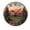FFclock092, variant on ZXCXRQFa Silent Clocks Space Near Earth Silent Wall Clock for Bathroom Indoor Decoration No Ticking 10 Inch Round Small Clock for Hospital Classroom Home Living Room