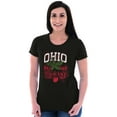 thumbnail image 4 of Ohio Stenciled Buckeye Leaf OH Cool Womens Fitted Plus Size Graphic Tee Brisco Brands 2X, 4 of 5