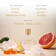thumbnail image 3 of Perfume Kathy Ireland Dreamer Eau de Parfum 10 mL para Mujer, 3 of 8