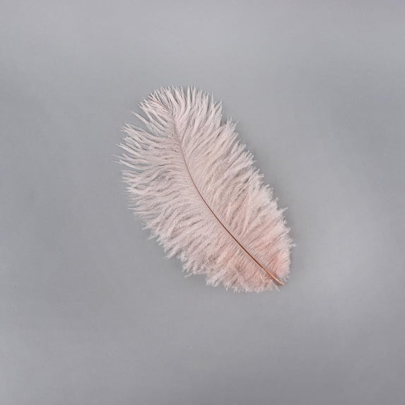 Zucker™ Ostrich Feathers - Drabs - 9 -12" - Champagne
