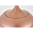 thumbnail image 4 of Nora 1 Light honey gold plug-in pendant, 4 of 6