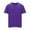 #Purple, variant on DPTALR Men's Summer Loose Casual Crew Neck Short Sleeve T-shirt,Blue, XXXXL