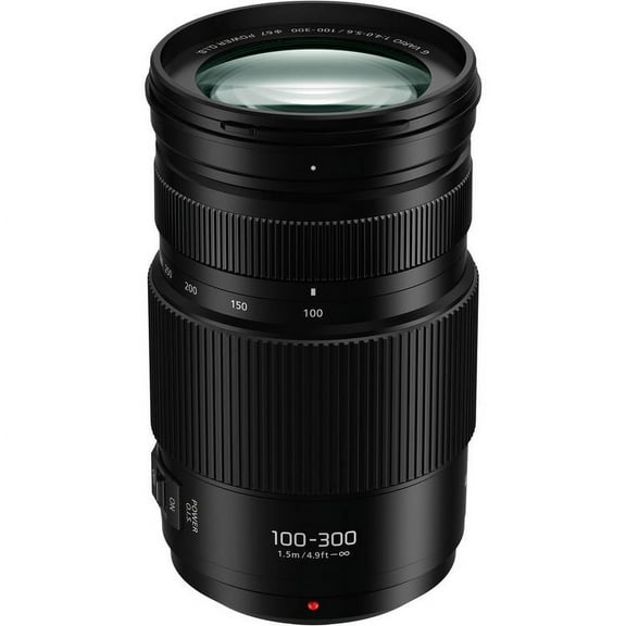 Panasonic LUMIX G Vario 100-300mm f/4.0-5.6 II Lens for Micro Four Thirds