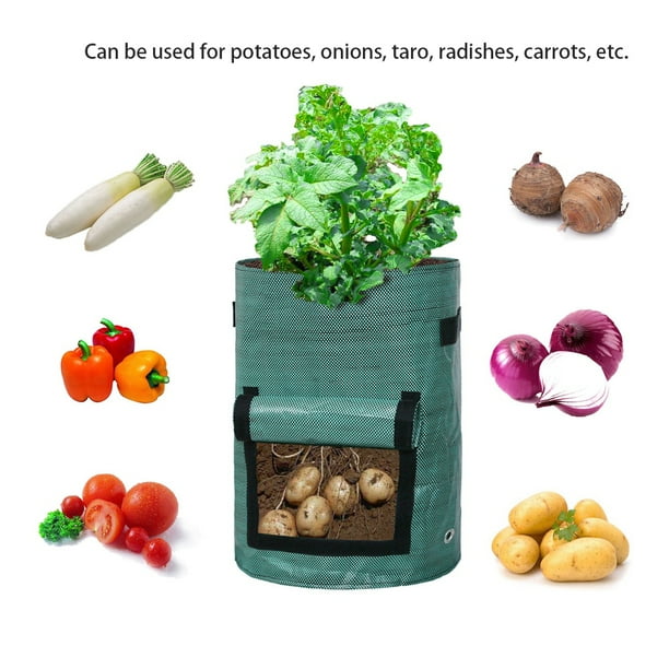 Chiciris Garden Accessories Garden Planting Bag Plants Tomato Potato Sweet Potato Eco Friendly Growing Bag With Door Potato Planter Walmart Com Walmart Com Chiciris Garden Accessories Garden Planting Bag Plants Tomato Potato Sweet Potato Eco Friendly Growing Bag With Door Potato Planter Walmart Com Walmart Com