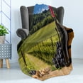 thumbnail image 4 of Winery Soft Flannel Fleece Blanket, Red Wine Bottles with Grapes on Timber Board Tuscany Italian Terrace Scenery, Cozy Plush for Indoor and Outdoor Use, 50" x 70", Green Blue Brown, by Ambesonne, 4 of 5