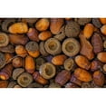 thumbnail image 2 of Acorns On Frozen Ground. Poster Print, 2 of 2