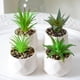 thumbnail image 1 of Juego de 4 mini plantas suculentas artificiales surtidas en macetas modernas de cerámica con textura blanca., 1 of 5