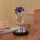 thumbnail image 4 of Rosa de cristal encantada, regalo de rosa artificial para siempre en una cúpula de vidrio con colores del arco iris, luz de noche romántica para mujeres, regalo ideal para el día de San Valentín,, 4 of 7
